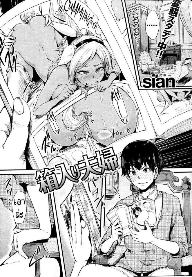 ข้าวใหม่ปลามัน [sian] Sheltered Couple